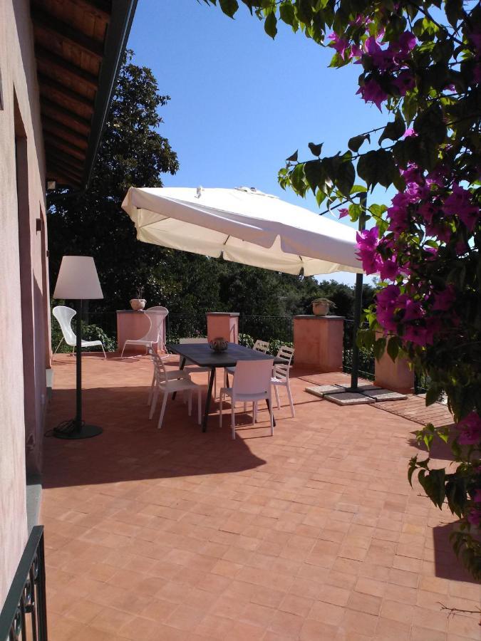 La Corte Di Bafe B&B "Slow Life" Zafferana Etnea Exterior photo