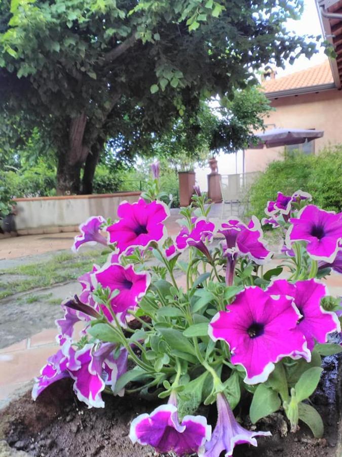 La Corte Di Bafe B&B "Slow Life" Zafferana Etnea Exterior photo